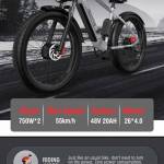 banggood, coupon, geekbuying, DUOTTS-F26-Electric-Mountain-Bike