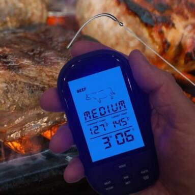 44% OFF Only $11.99 for Wireless LCD Remote Thermometer for BBQ from Newfrog.com