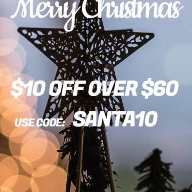 christmas sale from VaporDNA.com