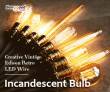 Up to 76% OFF Incandescent Light Bulbs from BANGGOOD TECHNOLOGY CO., LIMITED