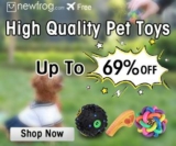 High Quality Pet Toys, Up To 69% OFF from Newfrog.com