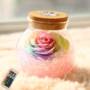 BRELONG LED Colorful Rose Preserved Flower Wishing Bottle  -  PINK 