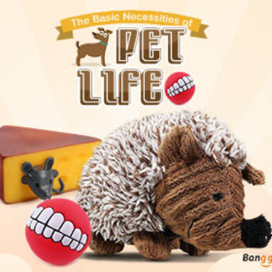 10% OFF for Pet Supplies from BANGGOOD TECHNOLOGY CO., LIMITED