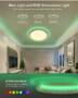 BlitzWolf® BW-CLT1 LED Smart Ceiling Light