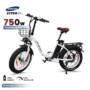 DRVETION CT20 Fat Tire Folding Electric Bicycle