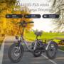 FAFREES F20 Mate Electric Tricycle