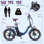 FAFREES F20 PRO Electric Bicycle