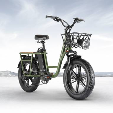 €1459 with coupon for FIIDO T1 Cargo Electric Bike from EU warehouse GEEKBUYING