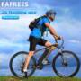 Fafrees Hailong One Electric Bike