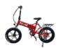 Friend Fat Tires Electric Bicycle