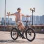 GOGOBEST GF850 Electric Mid Mounted Motor Bicycle
