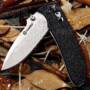 Ganzo G704 Tactical Folding Knife for Home / Outdoor Camping / Hiking / Adventure Activities  -  BLACK 
