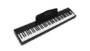 HAIBANG DL-100 88-key Velocitys-Sensitive Keyboard