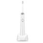 HANASCO H3 Ultrasonic Electric Toothbrush  -  WHITE