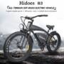 Hidoes B3 Electric Mountain Bike