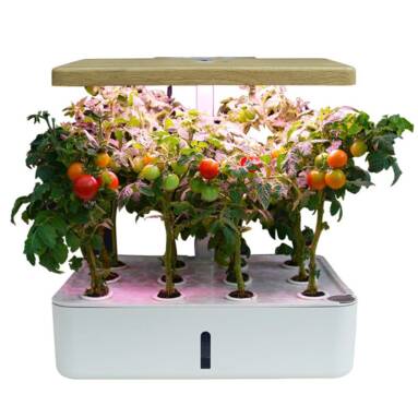 €59 with coupon for 110-240V Indoor Intelligent Hydroponic Planting Box Soilless Cultivation Equipment LED Fill Light Vegetable Planting Machine Nursery Flower Pot – Hydroponics from BANGGOOD