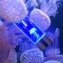 LED Night Light Jellyfish Tank Aquarium Style LED Lamp