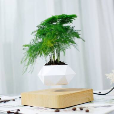 €61 with coupon for Levitating Air Bonsai from ALIEXPRESS