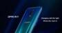 OPPO R17 4G Phablet English and Chinese Version - BLUE IVY 