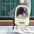 58 € med kupon til PETKIT Pet Cat rygsæk bæretaske Vintage stil rejsevindue vandtæt åndbar til Pet rejsetaske Hund kat Space Capsule fra EU CZ lager BANGGOOD
