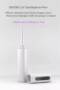 Petoneer UV Sterilization Pen Light Water Purifier Pen Ultraviolet UVC Sterilizer from xiaomi youpin