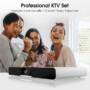 Punos PS-28 Pro Professional KTV Audio Speaker Set 350W Integrated 3D Surround Theater Karaoke Sound 5.1 bluetooth Soundbar