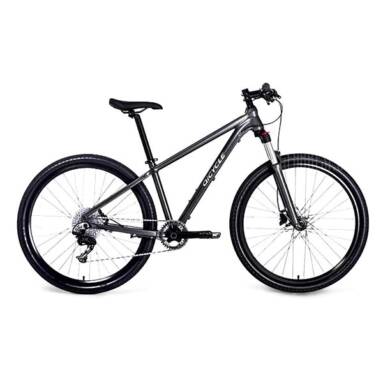 $599 flashsale for QICYCLE XC650 Smart Mountain Bike 27.5 inch 11-speed  –  GRAY from Gearbest