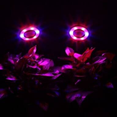 $22 with coupon for RFC – J 12W Clip Plant Growth Light from GearBest