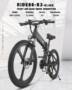RUICANJIE R3S Electric Bicycle