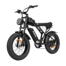 €848 with coupon for Ridstar Q20 Mini Electric Bike from EU warehouse BANGGOOD