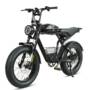 SAMEBIKE M20-FT Electric Bicycle