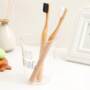 Toothbrush with Bamboo Handle