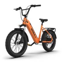 €1163 with coupon for VAKOLE SG20 750W Fat Bike E Mountain Bike from EU warehouse BUYBESTGEAR