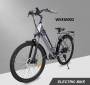 WELKIN WKEM002 electric bike