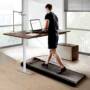 WalkingPad A1 Pro Walking Pad Smart Treadmill + ACGAM Electric Height Adjustable Desk Frame Grey