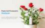 Xiaomi Mija Flowers And Plants Grass Detector Plant Detector Soil Photometric Analyzer 