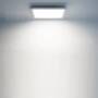 YEELIGHT Ultra Thin LED Panel Light  -  30 X 30CM 5700K  WHITE LIGHT