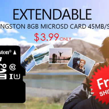 Only $3.99 Free Shipping for Kingston 8GB microSDHC TF Flash Memory Card from Zapals