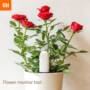 Original Xiaomi Mi Plant Flowers Tester Light Monitor  -  WHITE 