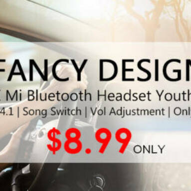 Xiaomi Mi Bluetooth 4.1 Headset Youth Version $8.99 Free Shipping from Zapals